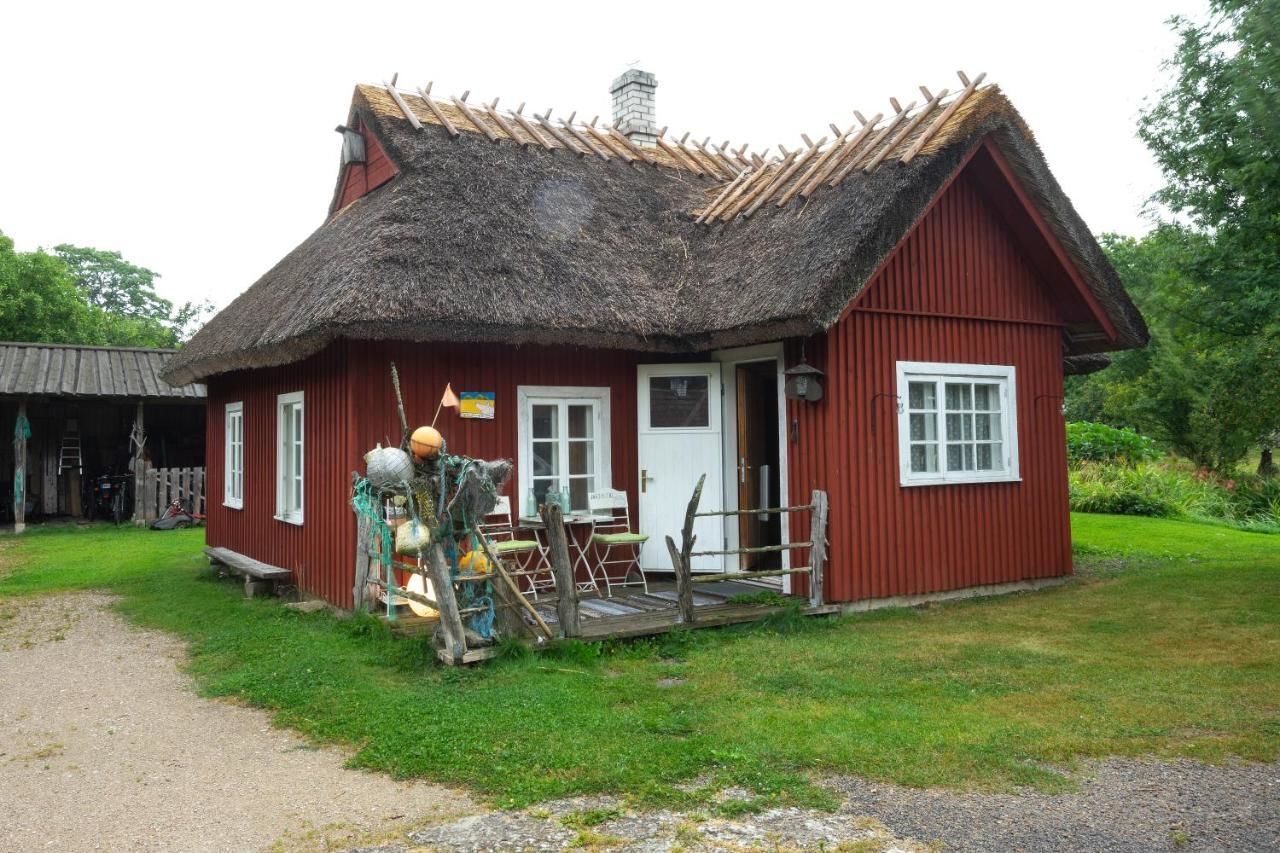 Дома для отпуска Paavli talu majutus Metsküla-4