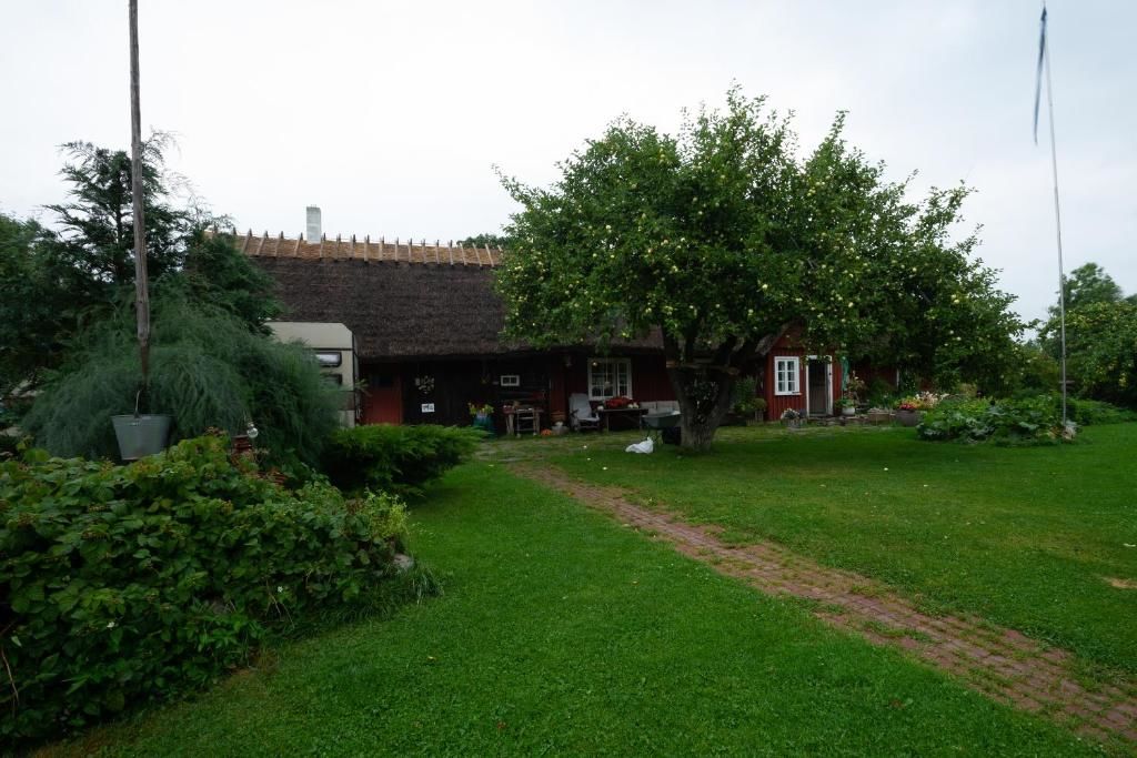 Дома для отпуска Paavli talu majutus Metsküla